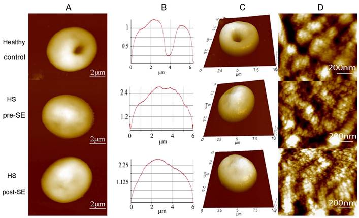 Nanotheranostics Image