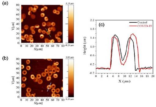 Nanotheranostics Image