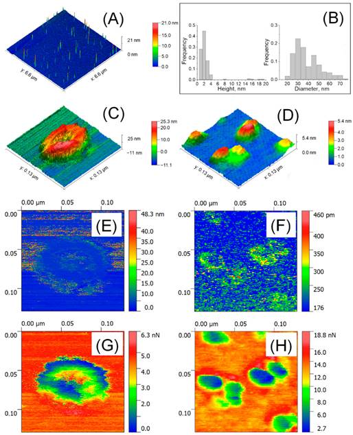 Nanotheranostics Image