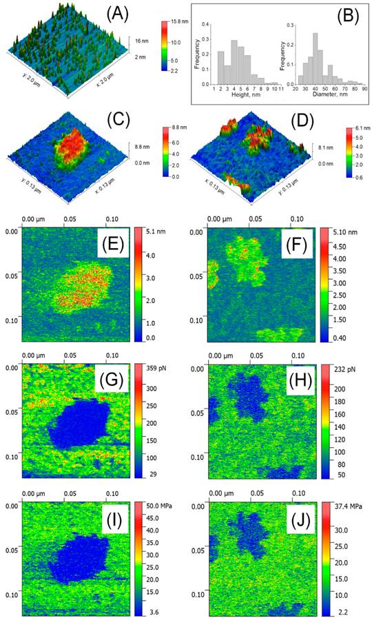 Nanotheranostics Image