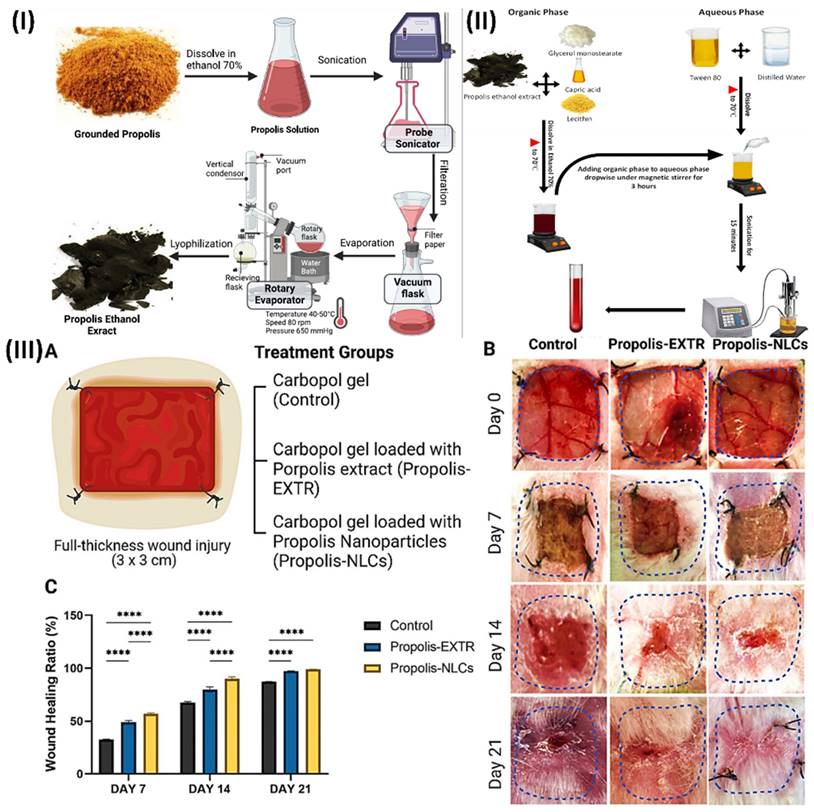 Nanotheranostics Image