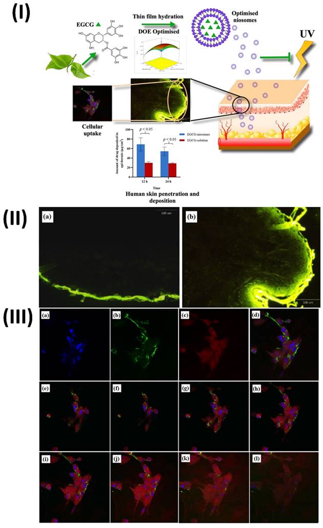 Nanotheranostics Image