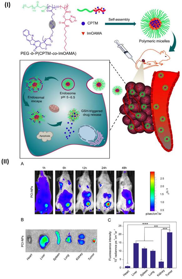 Nanotheranostics Image