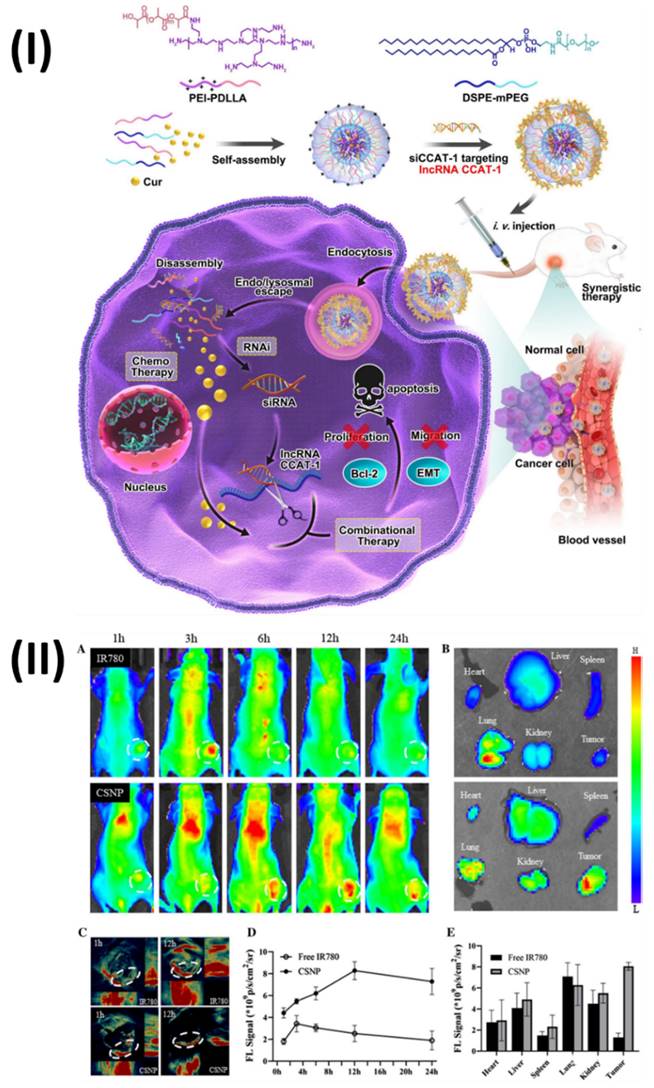 Nanotheranostics Image