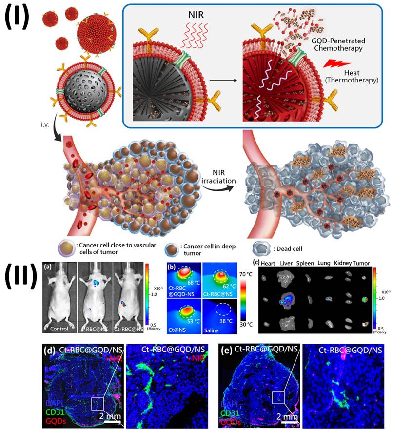 Nanotheranostics Image