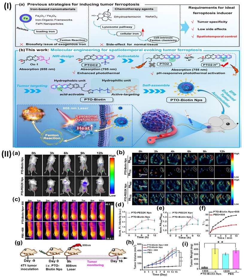 Nanotheranostics Image