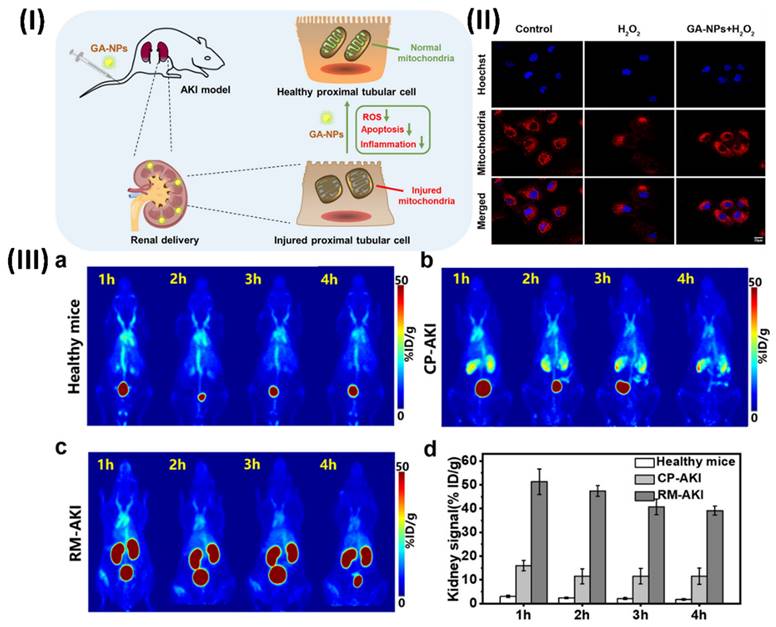 Nanotheranostics Image