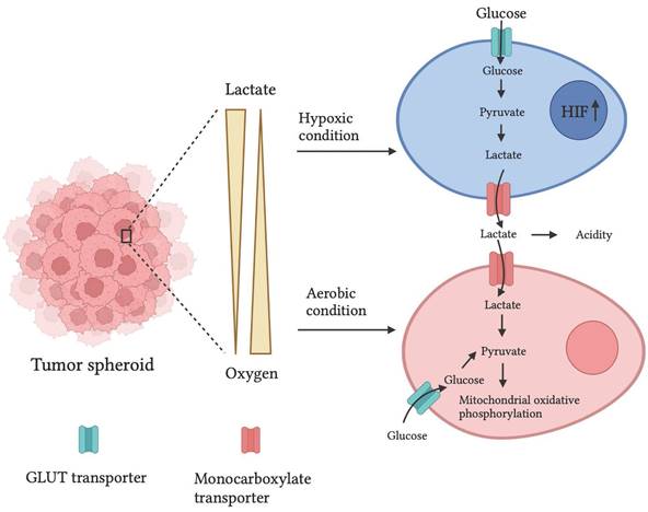 Nanotheranostics Image