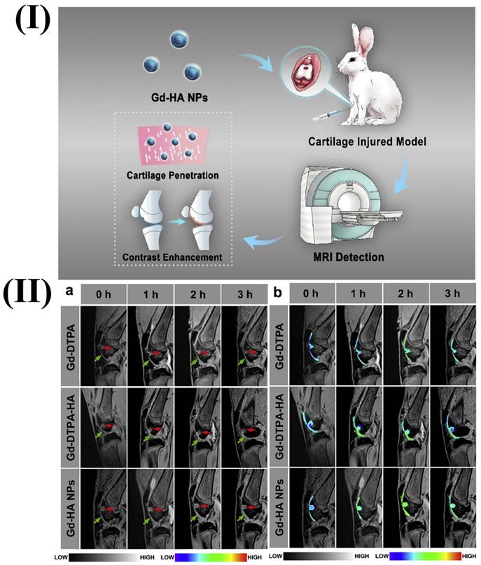 Nanotheranostics Image