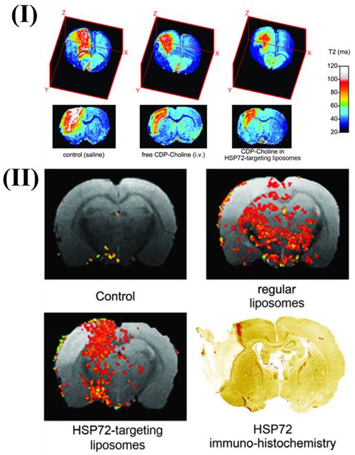 Nanotheranostics Image