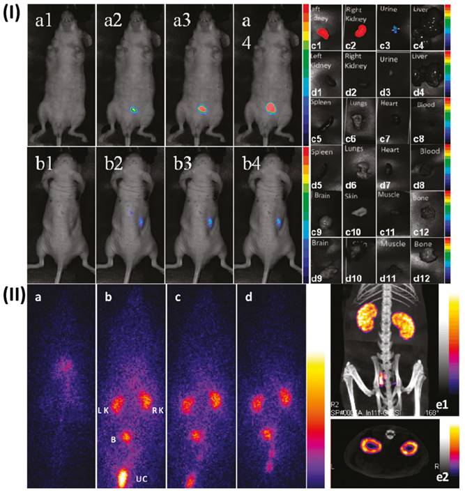 Nanotheranostics Image