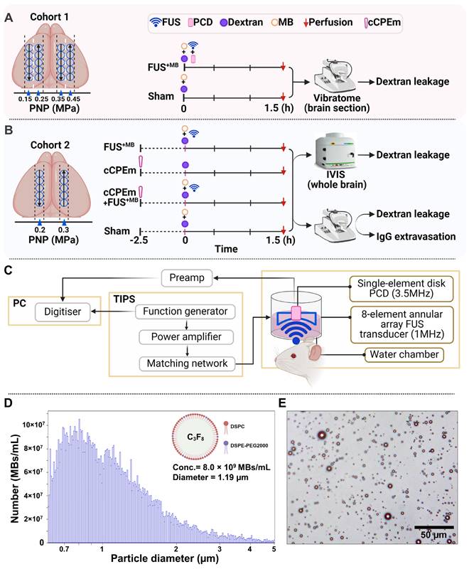 Nanotheranostics Image