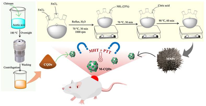 Nanotheranostics Image