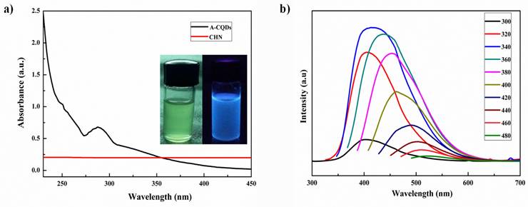 Nanotheranostics Image