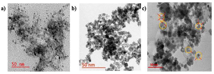 Nanotheranostics Image