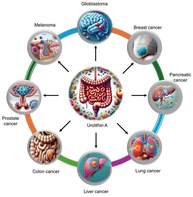 Nanotheranostics Image
