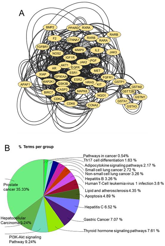 Nanotheranostics Image