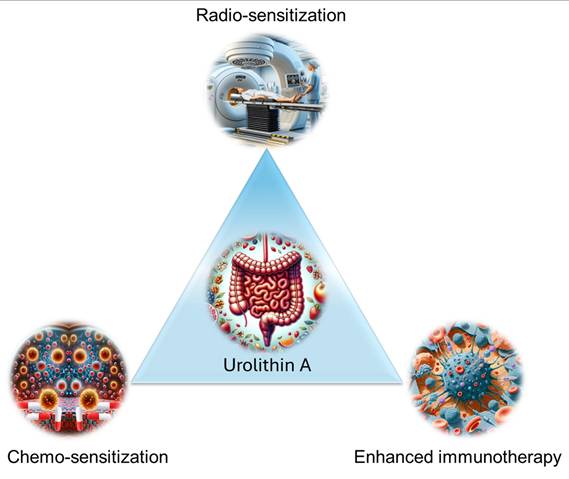 Nanotheranostics Image