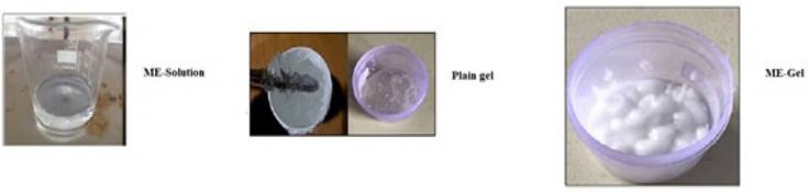 Nanotheranostics Image