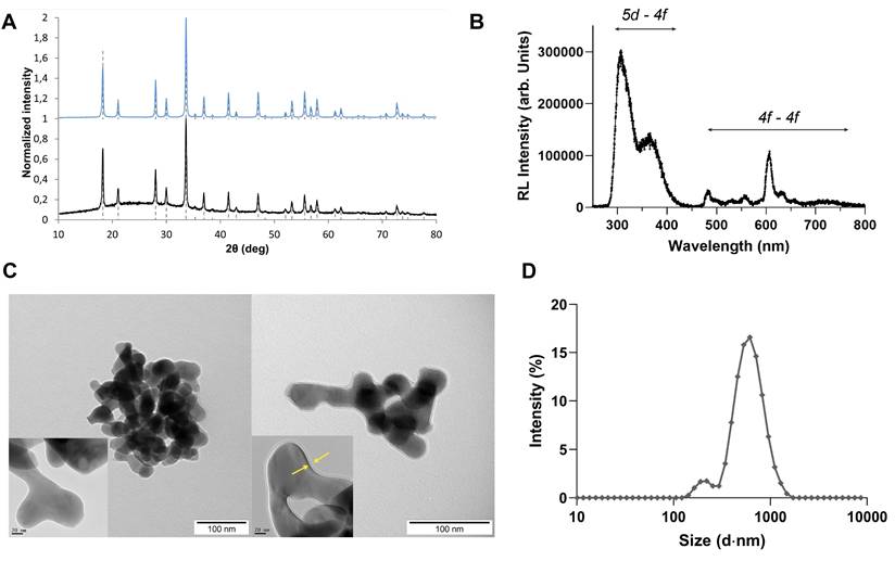 Nanotheranostics Image