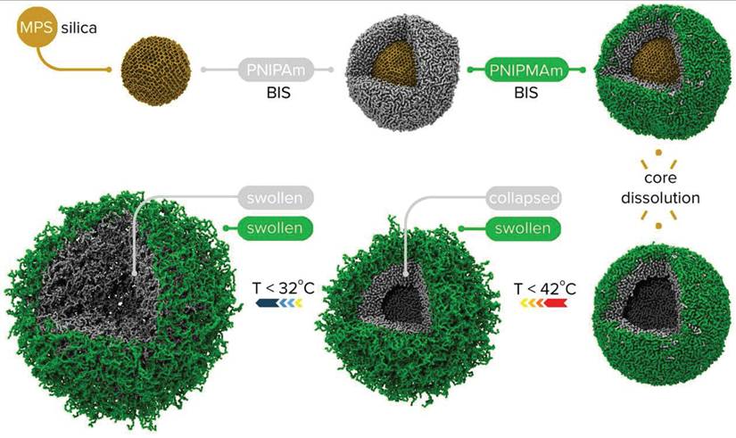 Nanotheranostics Image