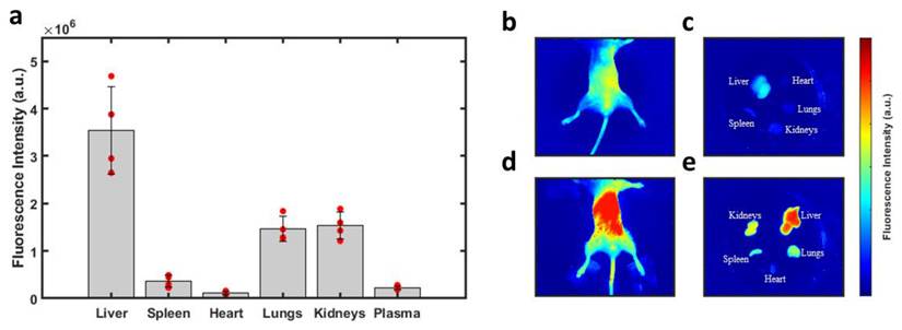 Nanotheranostics Image
