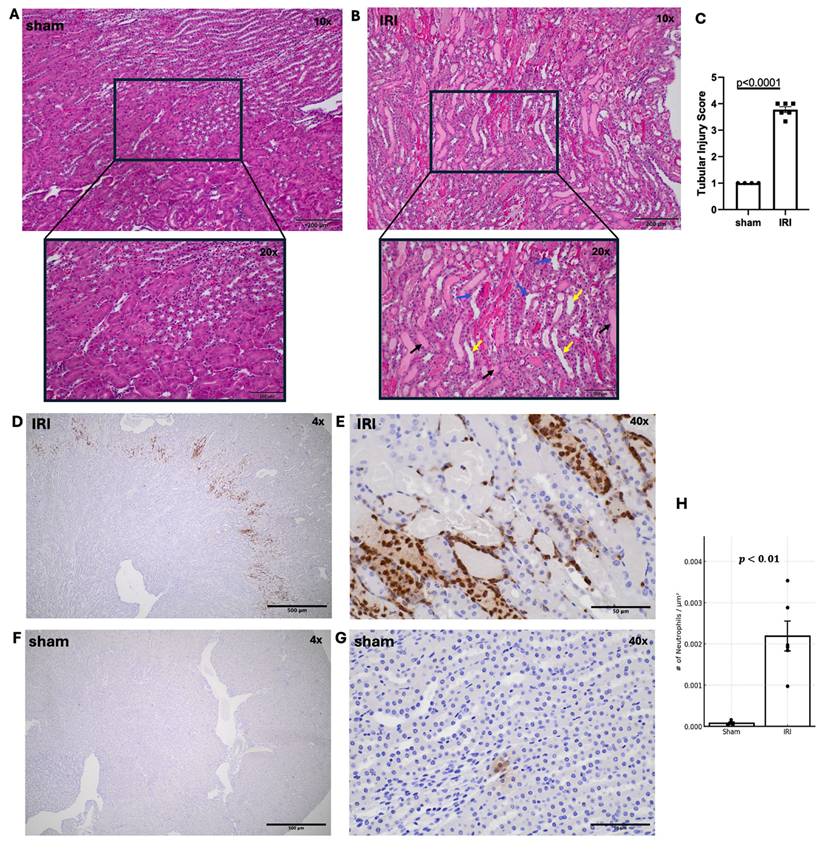 Nanotheranostics Image