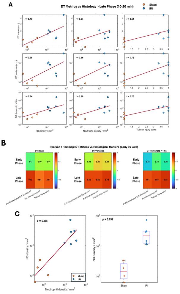 Nanotheranostics Image