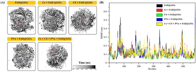 Nanotheranostics Image