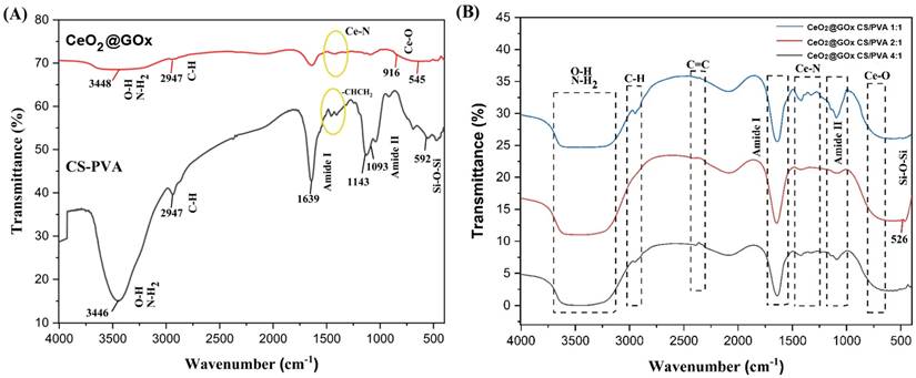 Nanotheranostics Image