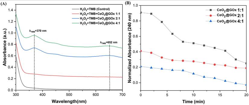 Nanotheranostics Image