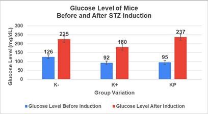 Nanotheranostics Image