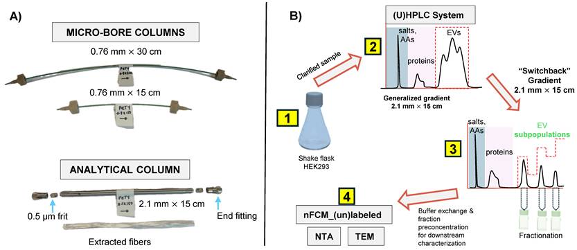 Nanotheranostics Image