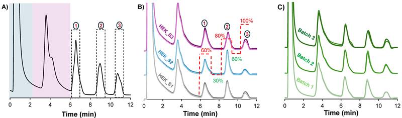 Nanotheranostics Image