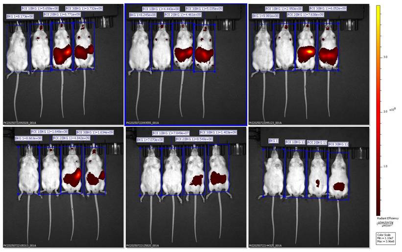 Nanotheranostics Image
