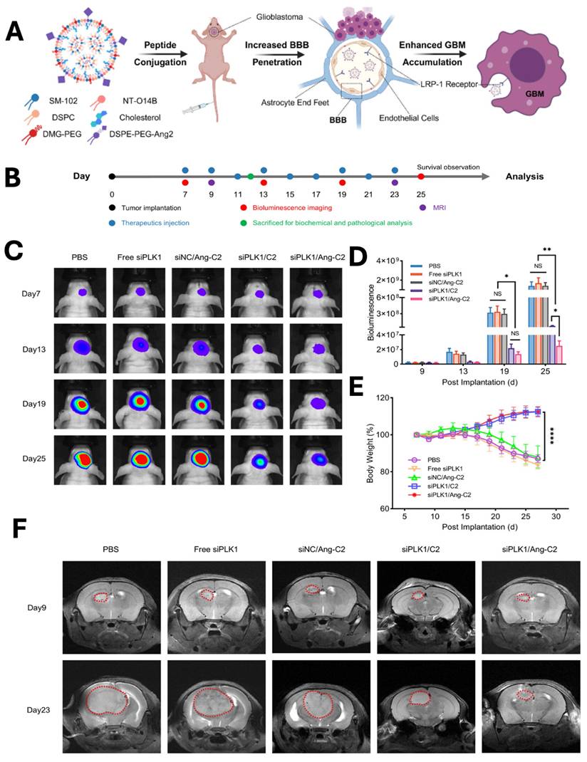 Nanotheranostics Image