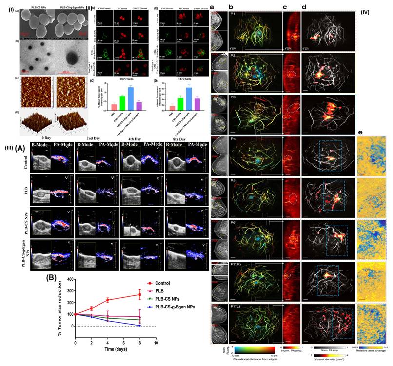 Nanotheranostics Image