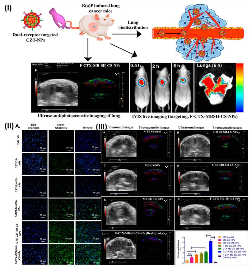 Nanotheranostics Image