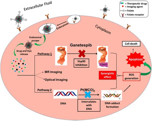 Nanotheranostics 03: 0120 image No. 001