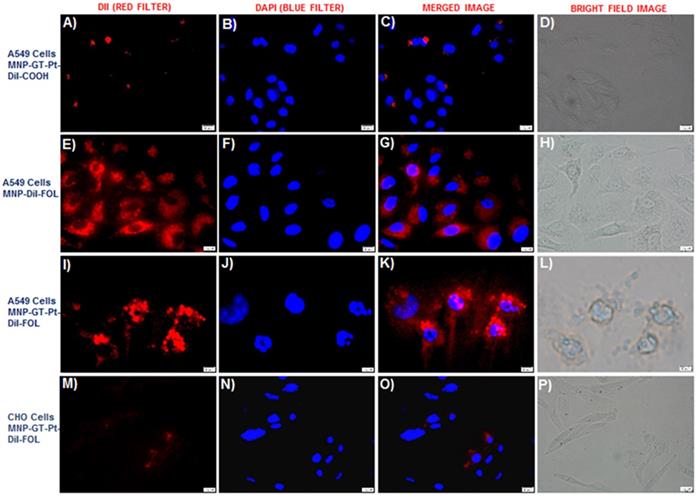 Nanotheranostics 03: 0120 image No. 007