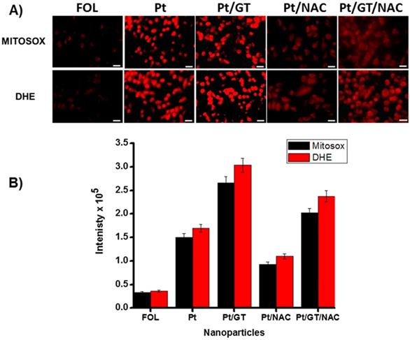 Nanotheranostics 03: 0120 image No. 008