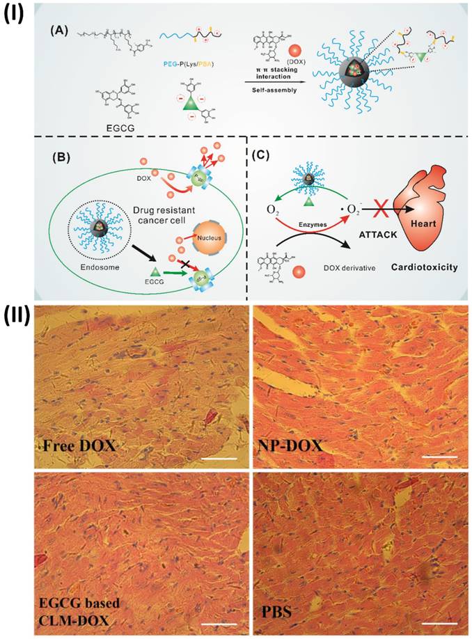 Nanotheranostics Image