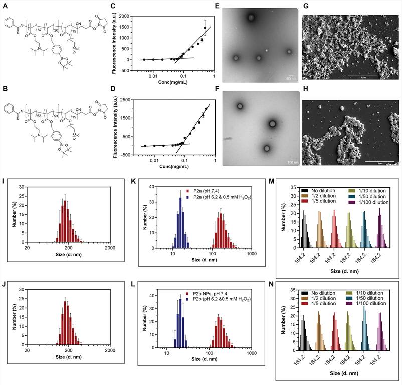 Nanotheranostics Image