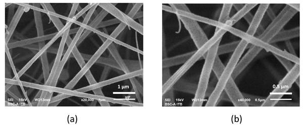 Nanotheranostics Image