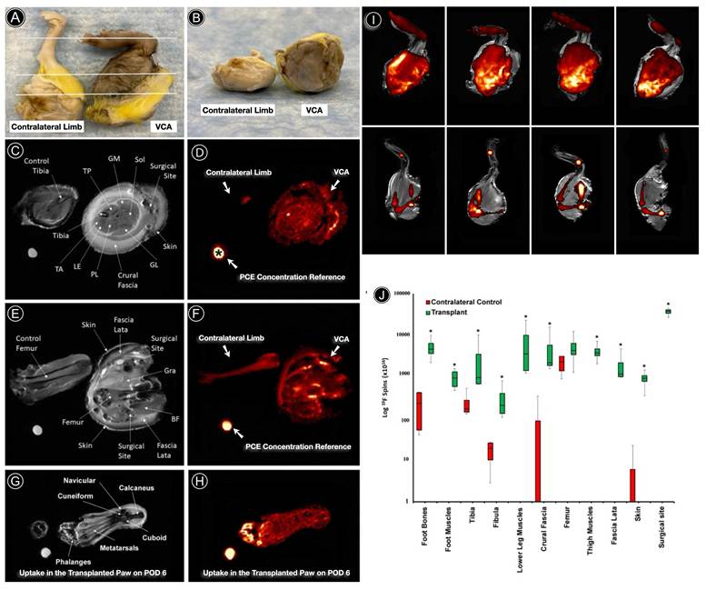 Nanotheranostics Image